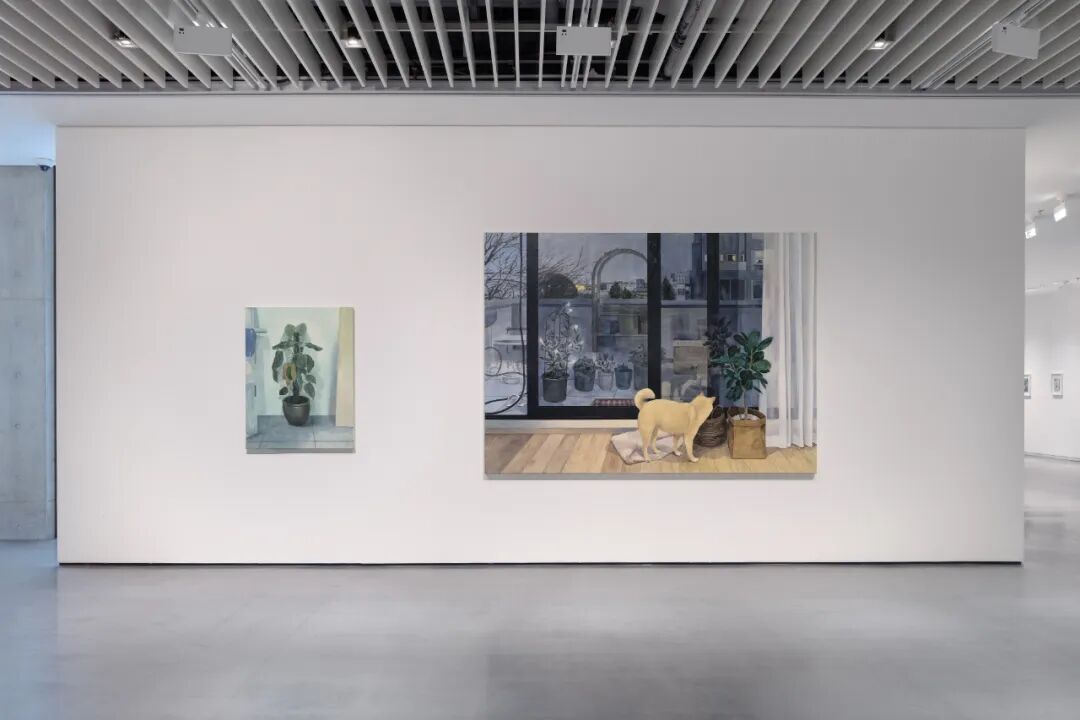 和美术馆展览现场｜ 黄宝莹「温差」