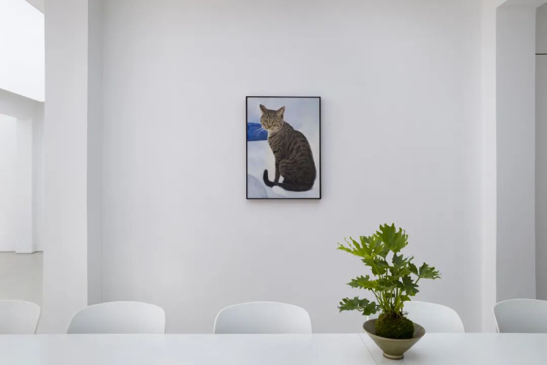 黄宝莹个展：时差